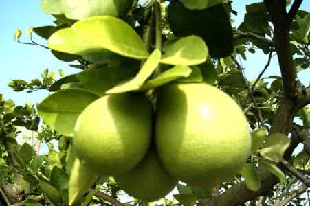 九游下载案例展示七