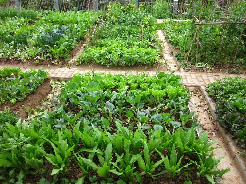 九游下载案例展示五